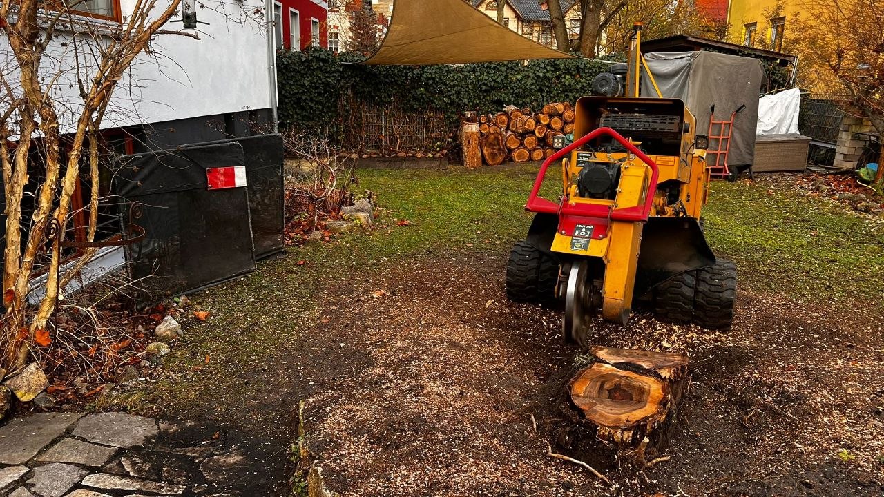 Ferngesteuerte Stubbenfräse während der Fräsarbeiten