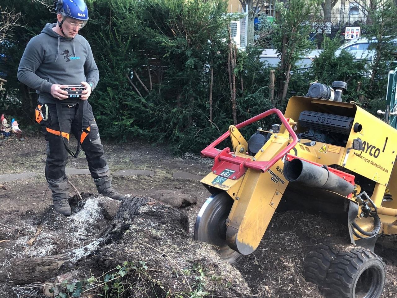Wurzelfräsen in einem Garten mit ferngesteuerter Maschine